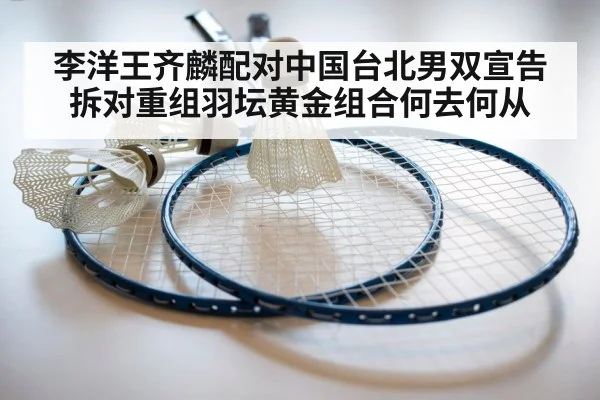 李洋王齐麟配对中国台北男双宣告拆对重组羽坛黄金组合何去何从